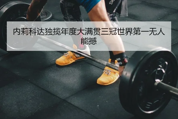nei-li-ke-da-du-lan-nian-du-da-man-guan-san-guan-shi-jie-di-yi-wu-ren-neng-han-2-139.jpg