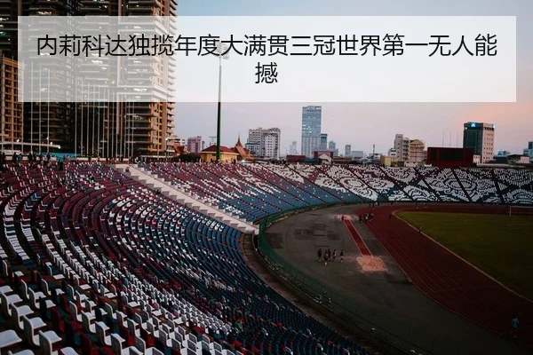 nei-li-ke-da-du-lan-nian-du-da-man-guan-san-guan-shi-jie-di-yi-wu-ren-neng-han-1-736.jpg